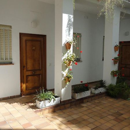 Hotel El Coloso Jerez de la Frontera Exterior foto