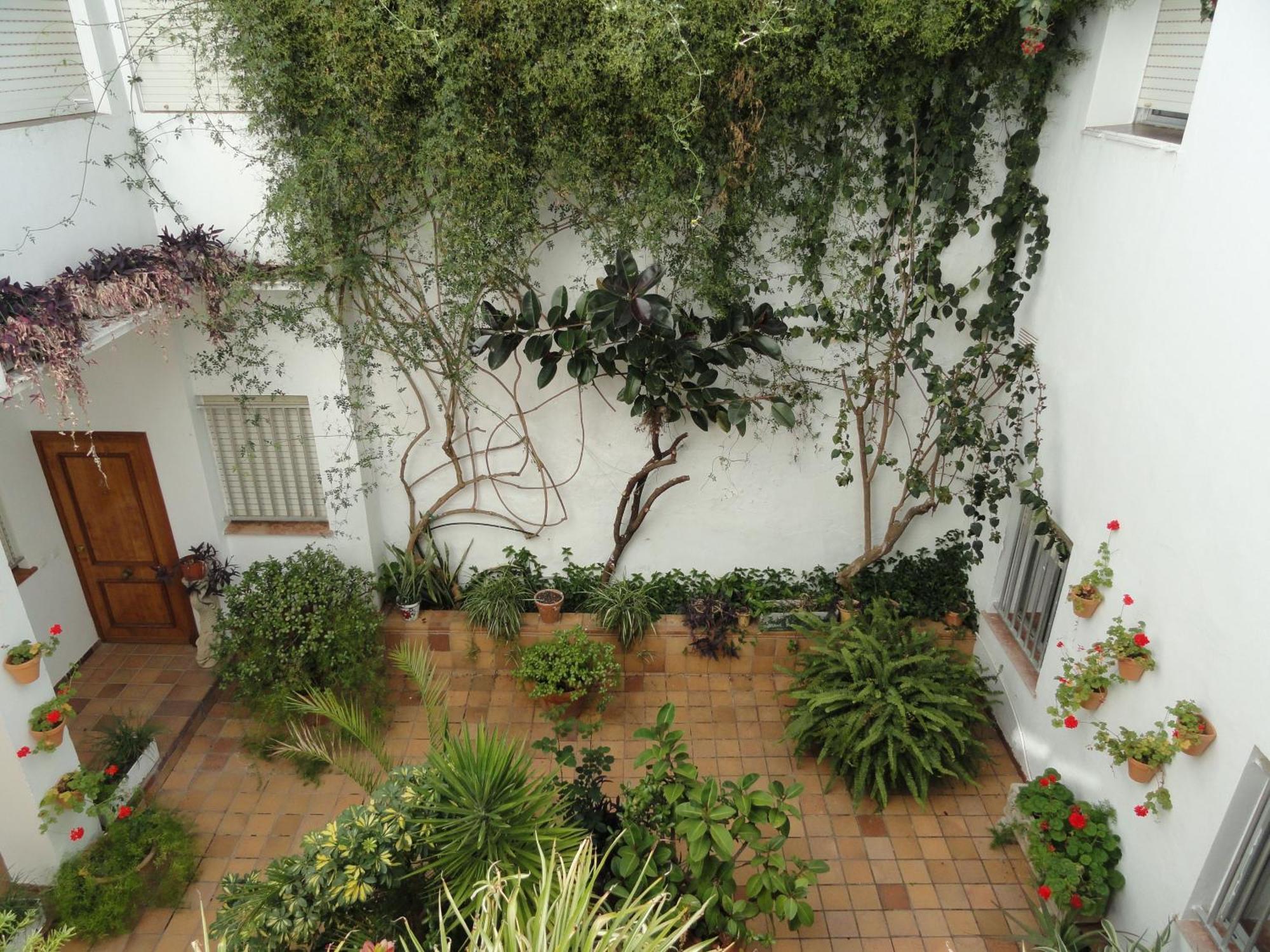 Hotel El Coloso Jerez de la Frontera Exterior foto